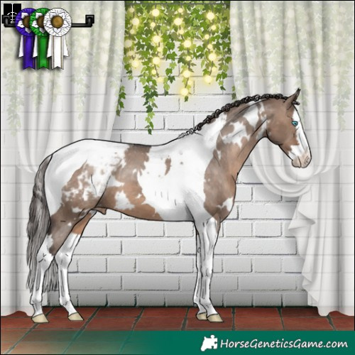 Horse Color:White Spotted Brown Dun Splash Tobiano Blanket 