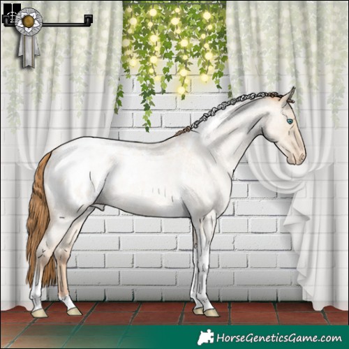 Horse Color:Smoky Grullo Roan Pearl Tobiano Blanket Rabicano 