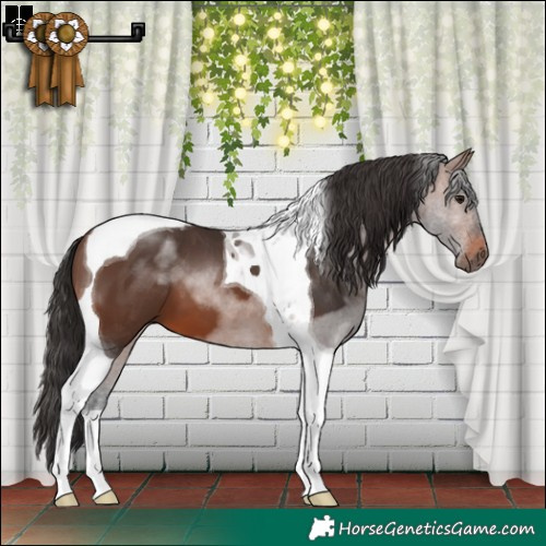 Horse Color:Brown Tobiano 