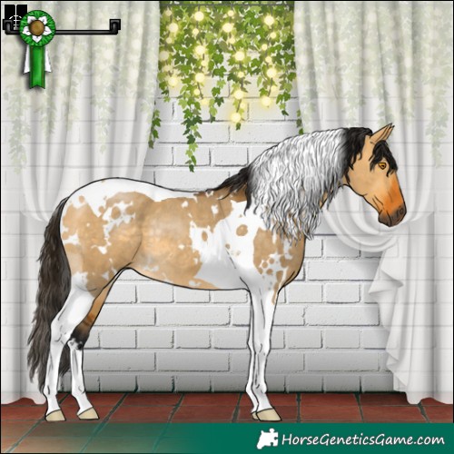 Horse Color:Gray White Spotted Buckskin Dun Tobiano Rabicano 