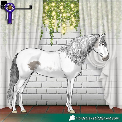 Horse Color:Gray White Spotted Smoky Grullo Splash Tobiano Rabicano 