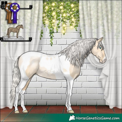 Horse Color:Silver Smoky Grullo Pearl Tobiano Rabicano 