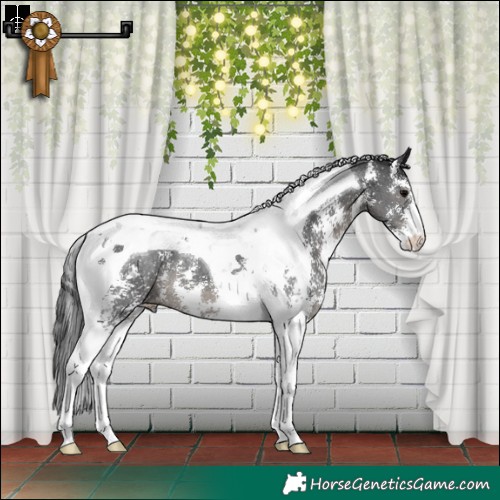 Horse Color:Black Sabino Tobiano 