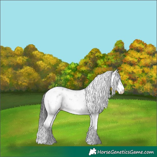 Horse Color:Grullo Sabino 