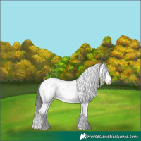 Horse Color:Grullo Sabino 