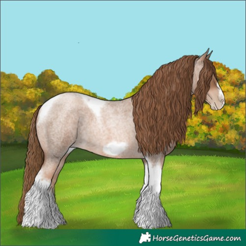 Horse Color:Liver Red Roan Pearl Tobiano Frame