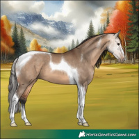 Horse Color:Bay Dun Tobiano 