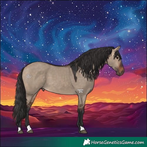 Horse Color:Bay Dun
