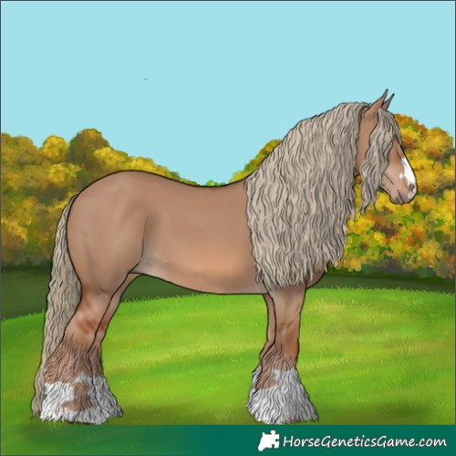 Horse Color:Red Dun 
