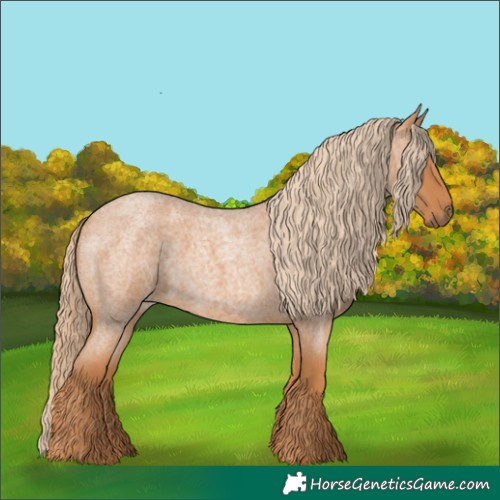 Horse Color:Red Roan 