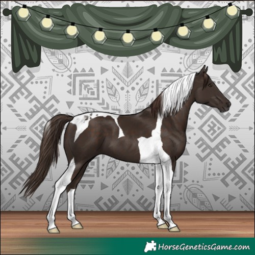 Horse Color:Liver Chestnut Tobiano 