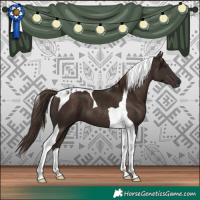 Horse Color:Liver Chestnut Tobiano