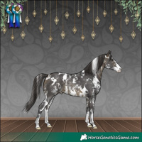 Horse Color:White Spotted Buckskin Sabino Varnish