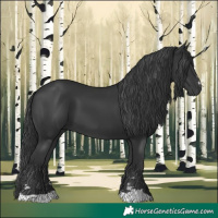 Horse Color:Black 