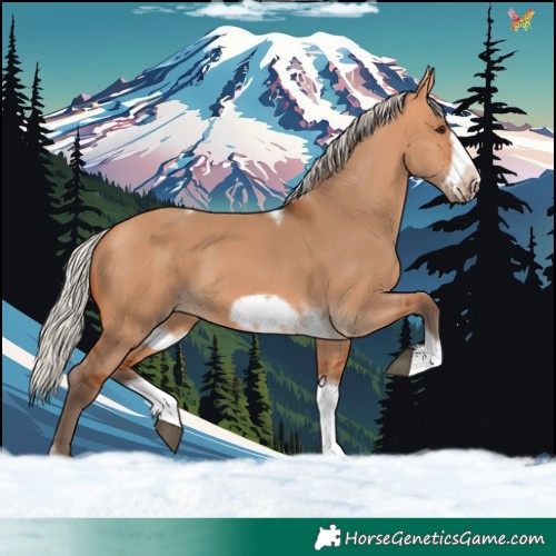 Horse Color:Silver Bay Dun Sabino Tobiano Frame Rabicano 