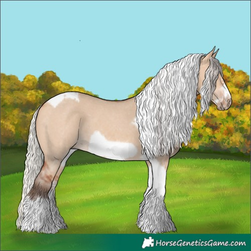 Horse Color:Silver Bay Dun Sabino Tobiano Frame Rabicano 