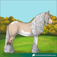 Horse Color:Silver Bay Dun Sabino Tobiano Frame Rabicano 