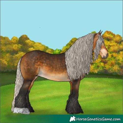 Horse Color:Gray Silver Buckskin 