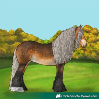 Horse Color:Gray Silver Buckskin 