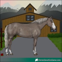 Horse Color:Silver Smoky Black Sabino Tobiano Rabicano 