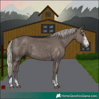 Horse Color:Silver Smoky Black Sabino Tobiano Rabicano