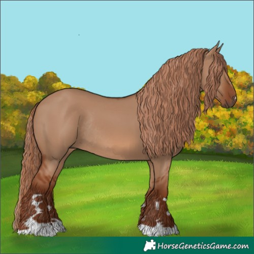 Horse Color:Red Dun Rabicano 