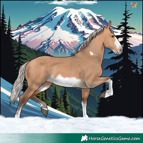 Horse Color:Silver Bay Dun Sabino Tobiano Frame Rabicano 