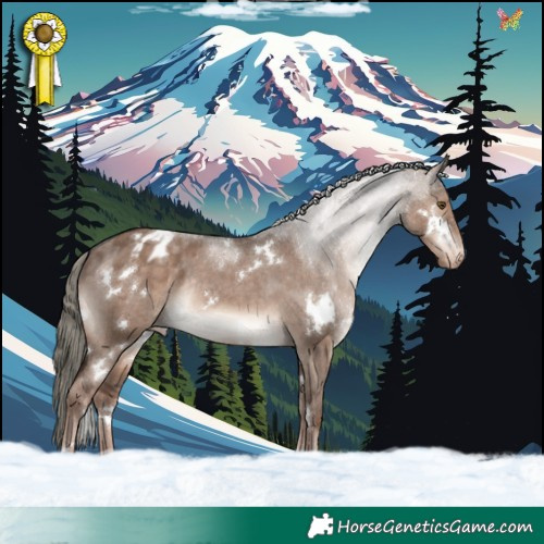 Horse Color:White Spotted Liver Red Dun Mushroom Appaloosa Rabicano 