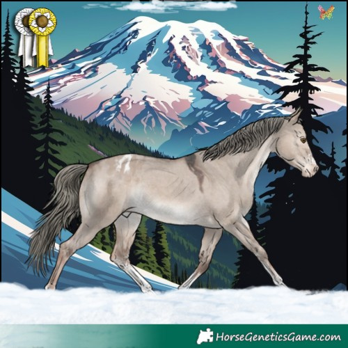 Horse Color:Liver Red Dun Mushroom Sabino Appaloosa Rabicano 