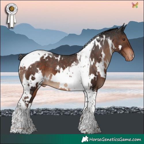 Horse Color:White Spotted Liver Chestnut Tobiano Blanket 