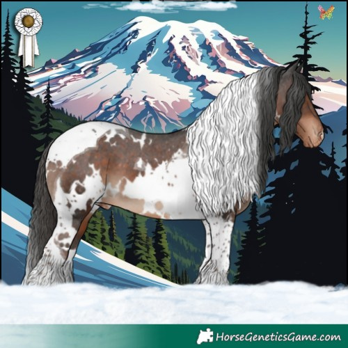 Horse Color:White Spotted Liver Chestnut Tobiano Appaloosa 