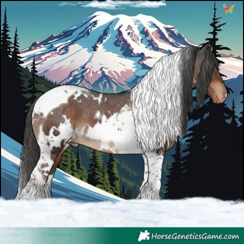 Horse Color:White Spotted Liver Chestnut Tobiano Appaloosa 
