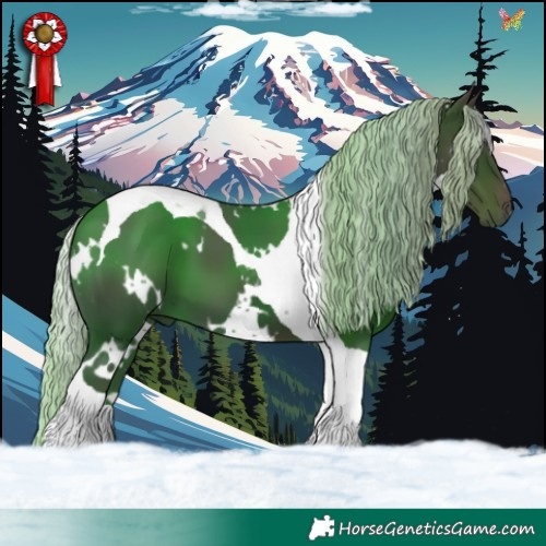 Horse Color:White Spotted Silver Black Tobiano 