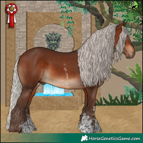 Horse Color:Silver Brown Sabino Rabicano 