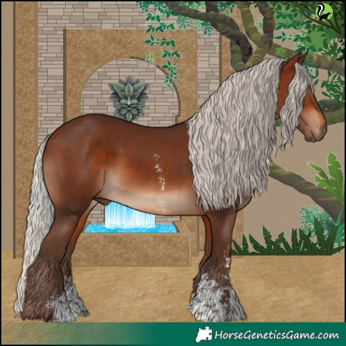 Horse Color:Silver Brown Sabino Rabicano 