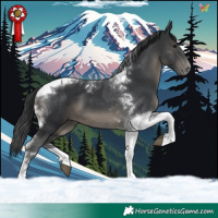 Horse Color:Black Tobiano 
