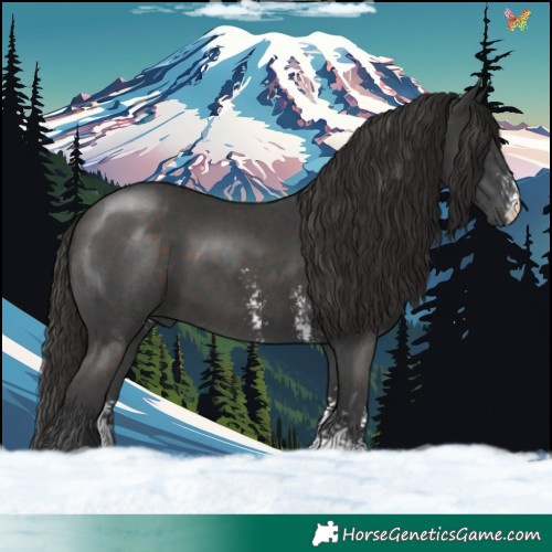 Horse Color:Liver Chestnut Sabino 