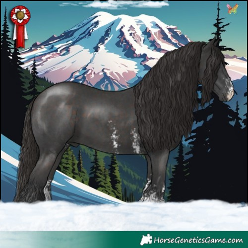 Horse Color:Liver Chestnut Sabino 