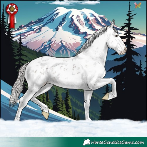Horse Color:White Spotted Silver Black Sabino 