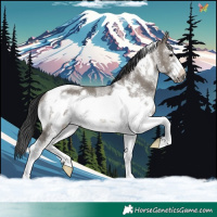 Horse Color:White Spotted Grullo Tobiano Frame Rabicano 