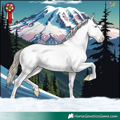 Horse Color:White Spotted Chocolate Palomino Sabino Splash Rabicano 