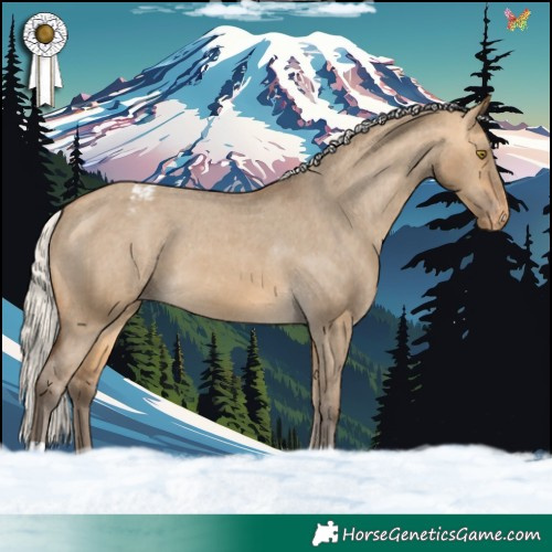 Horse Color:Silver Buckskin Dun Appaloosa 
