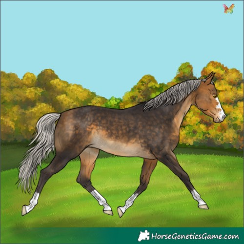 Horse Color:Silver Buckskin 