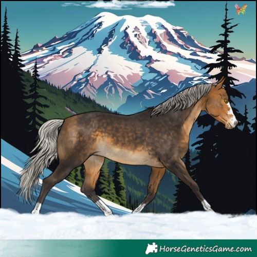 Horse Color:Silver Buckskin 