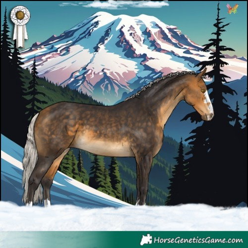 Horse Color:Silver Buckskin 
