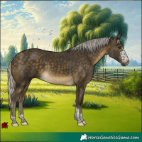 Horse Color:Silver Buckskin Sabino Tobiano Rabicano 