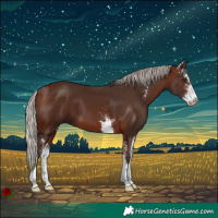 Horse Color:Silver Brown Sabino 