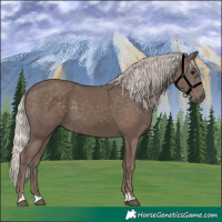 Horse Color:Silver Black 