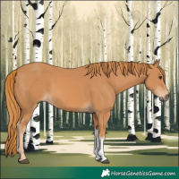 Horse Color:Chestnut Tobiano Rabicano