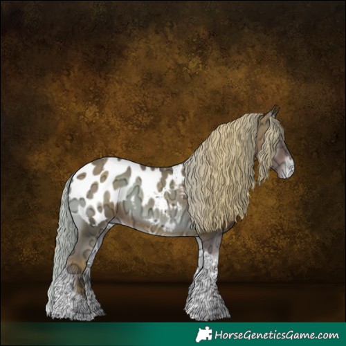 Horse Color:Silver Blue Onyx Ice Tobiano Appaloosa 